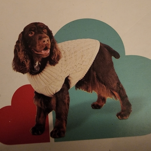 NWT Boots & Barkley Cream Cable Knit Turtleneck Dog Sweater Cozy Cute Winter New - Picture 5 of 6